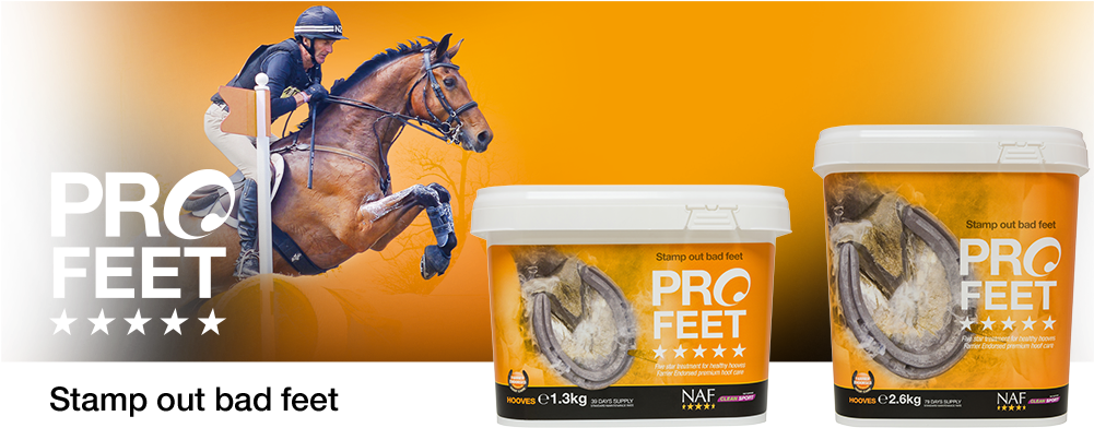 Five Star Treatment For Strong Healthy Hooves - Orange Foot Powder Clipart (1000x423), Png Download
