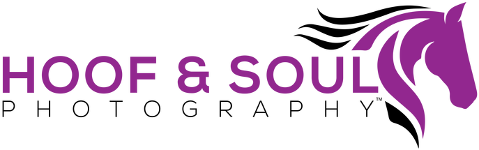 Graphic Design Clipart (800x800), Png Download