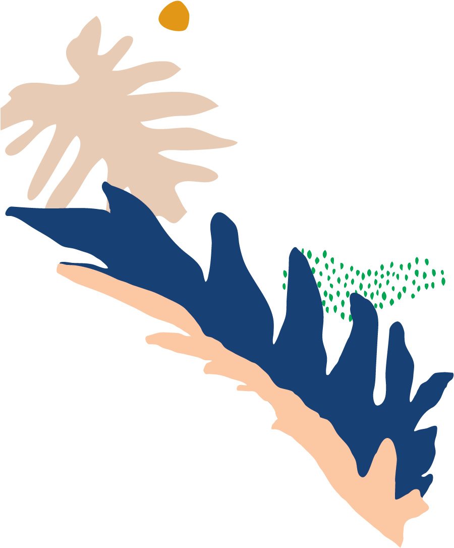 Philodendron - Illustration Clipart (962x1307), Png Download