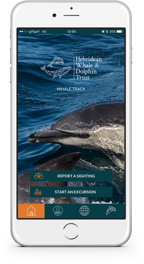 Download Our Free App - Humpback Whale Clipart (500x959), Png Download