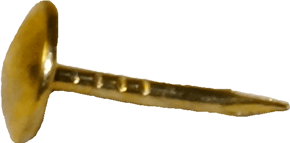 A - Bird Of Prey Clipart (4912x3264), Png Download