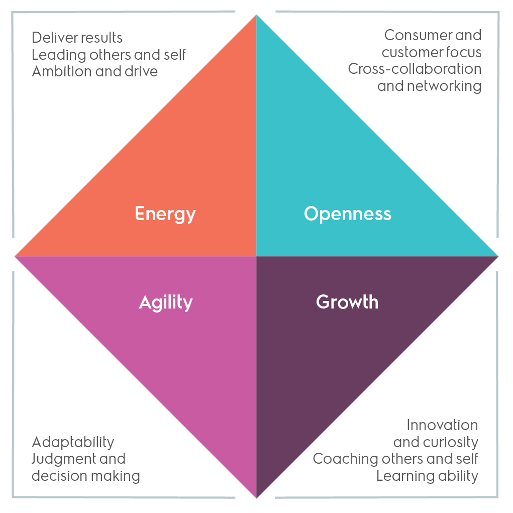 Talent And Teamship - Electrolux Core Competencies Clipart (1021x1021), Png Download