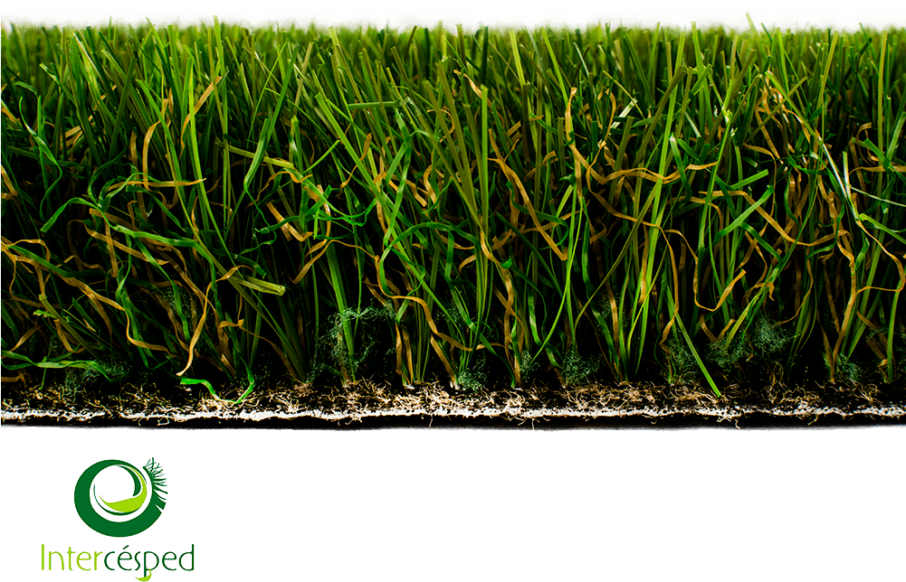 Cesped Artificial Galatea - Grass Clipart (1000x728), Png Download