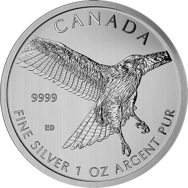 Picture Of 2015 1 Oz Canadian Silver Maple Leaf Red-tail - Canadian Birds Of Prey Coins Clipart (600x600), Png Download
