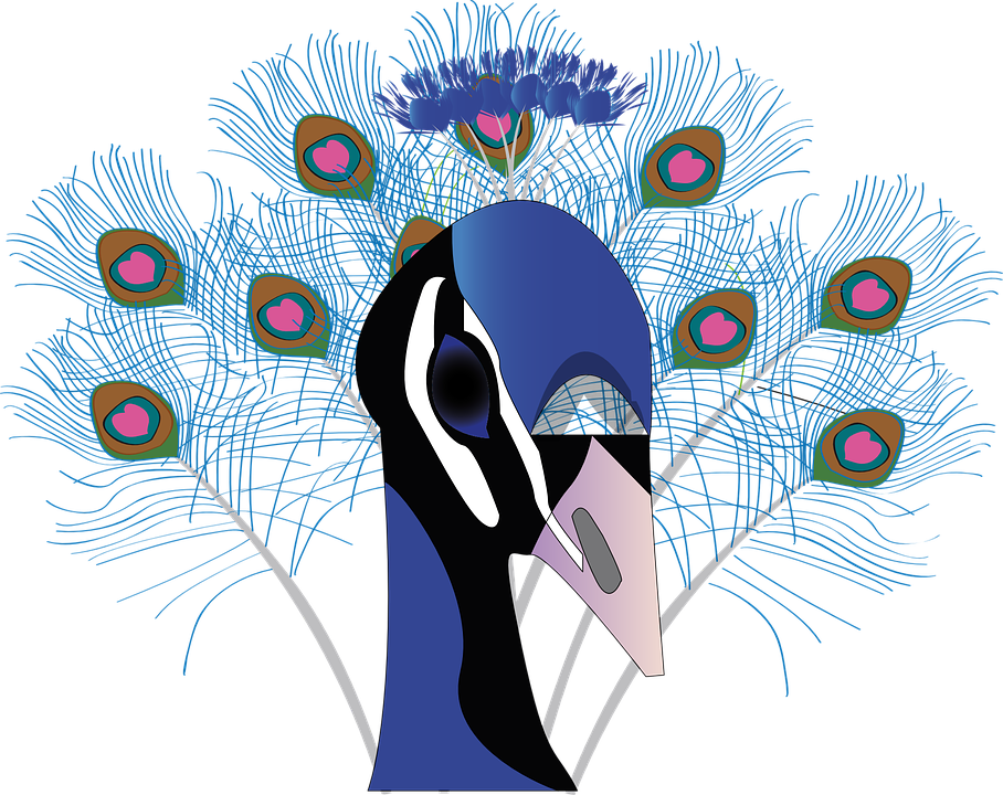 Bird Peacock Feather Beautiful Animal - Peacock Paragraph In Bengali Clipart (908x720), Png Download