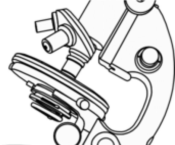 Microscope Clipart Vector - Drawing Microscope - Png Download (640x480), Png Download