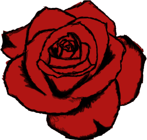 Rose Drawing Computer Clipart (640x480), Png Download