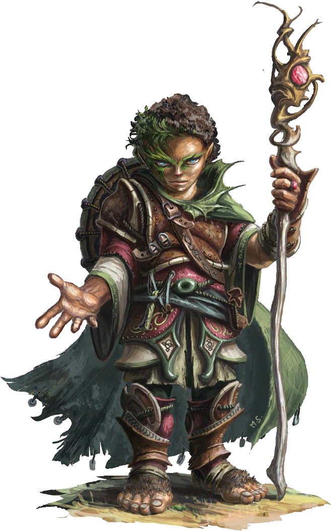 M Halfling Cleric W Staff - Dungeons And Dragons Druid Png Clipart (698x1074), Png Download