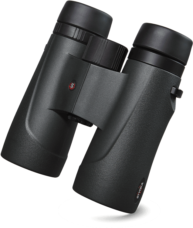 See What - Binoculars Clipart (640x776), Png Download
