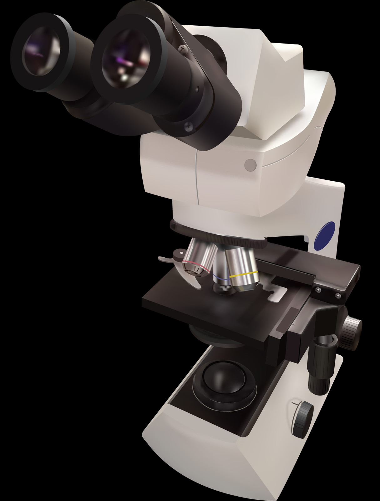 Microscope Clipart (1215x1600), Png Download