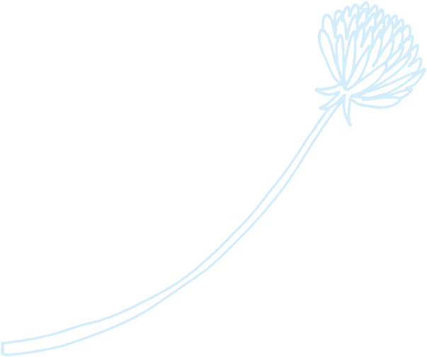 Afterparty Drawn Flower - Drawing Clipart (616x572), Png Download