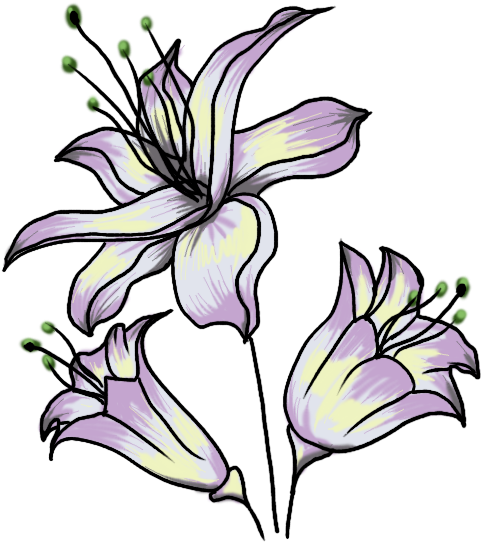 Easy Flower Drawing Coloured Clipart (600x600), Png Download
