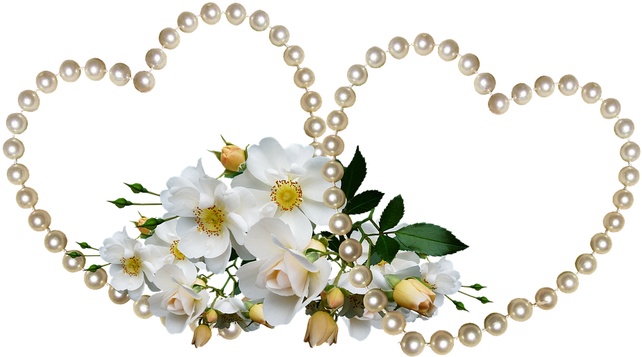 San Valentín, Rosas Blancas, El Amor, Celebración - Вероятность Забеременеть После Месячных Clipart (960x522), Png Download