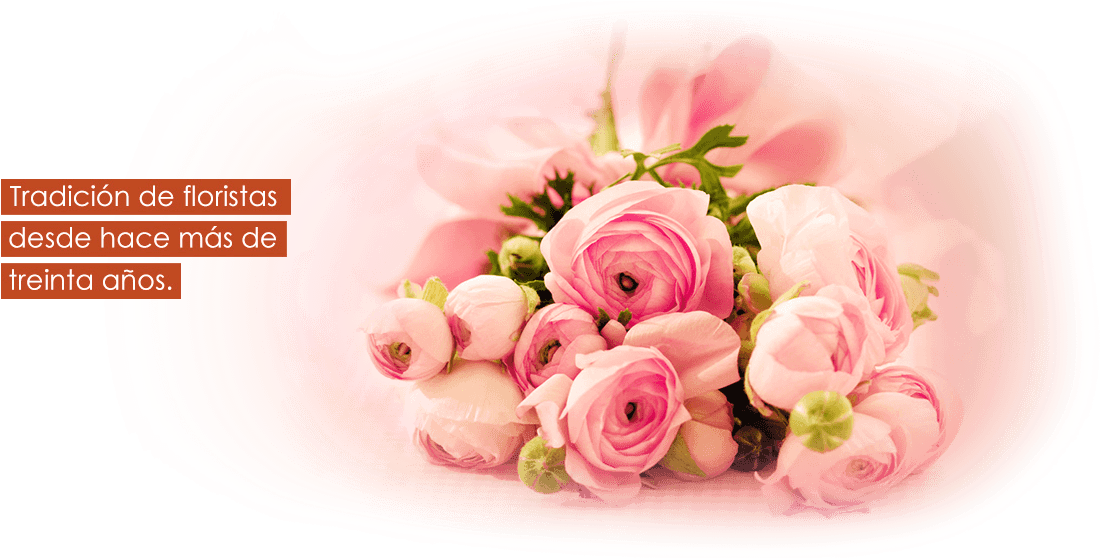 High Resolution Rose Clipart (1600x557), Png Download