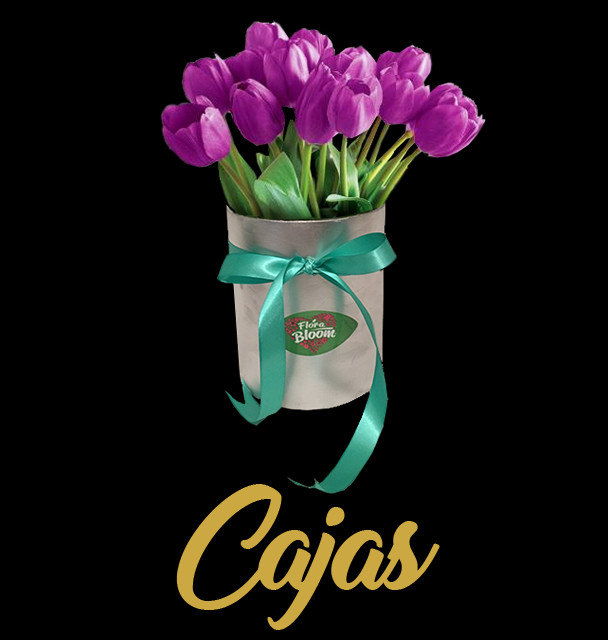 Florabloom® Arreglos Florales A Domicilio En Guadalajara - Purple Tulips Clipart (608x640), Png Download