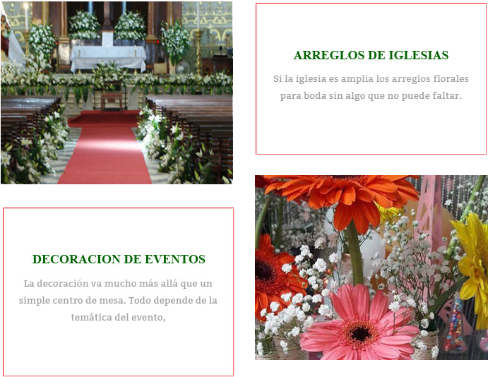 Nos Respaldan Años De Experiencia, A Través De Los - African Daisy Clipart (706x548), Png Download