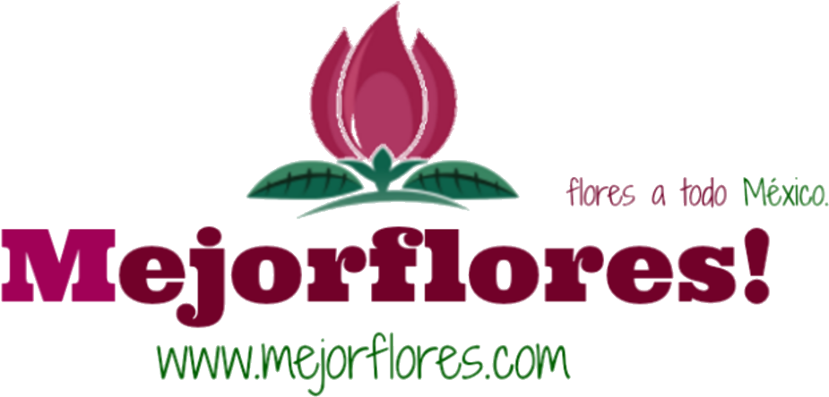 Mejor Flores - Graphic Design Clipart (1050x548), Png Download