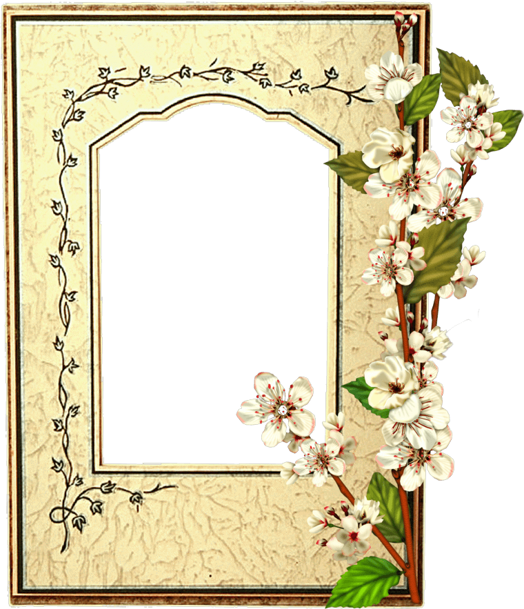 Marco De Foto Flores Blancas - Marcos De Primera Comunion En Png Clipart (884x1000), Png Download