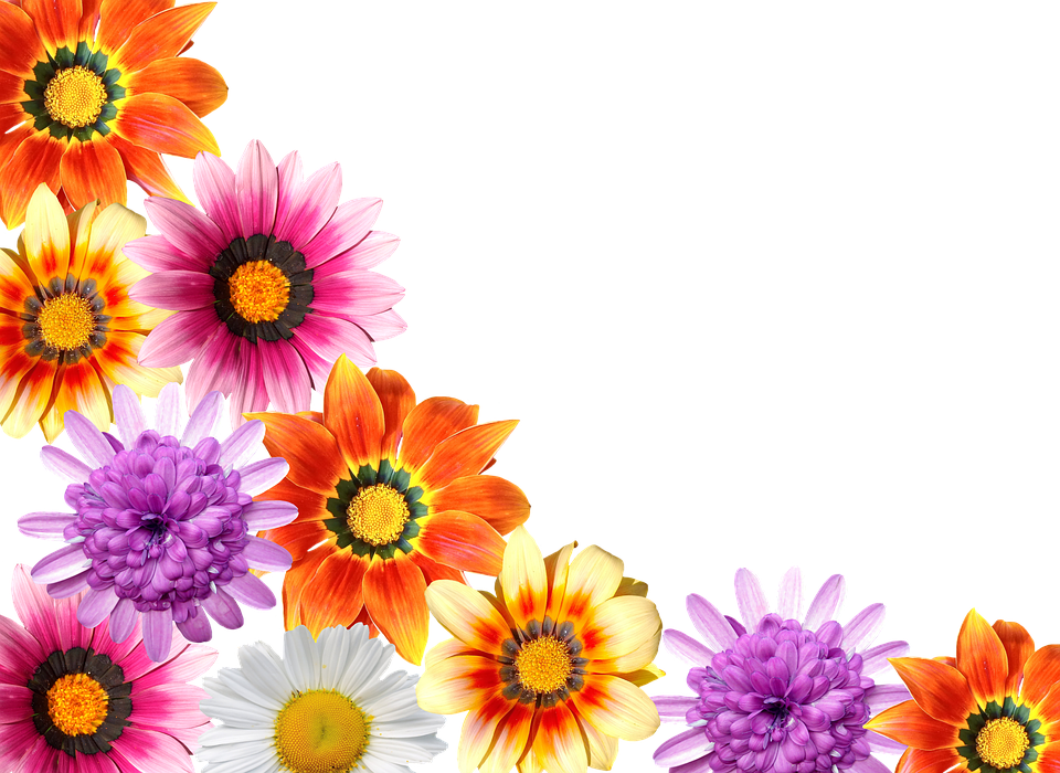 Flores, Verano, Jardín, La Naturaleza, Flor, Planta - Flores Do Verao Png Clipart (960x700), Png Download