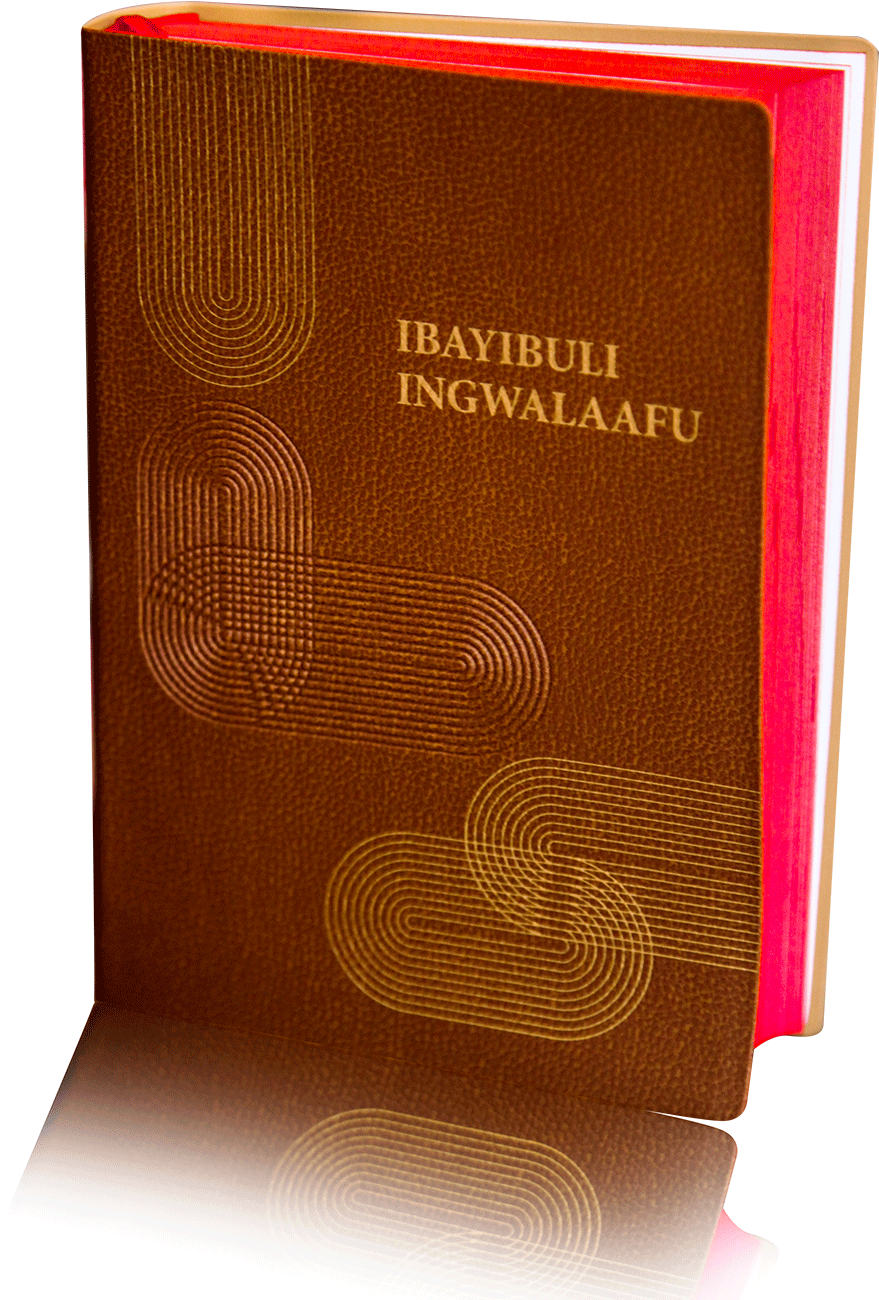 Book Cover , Png Download - Book Cover Clipart (879x1300), Png Download