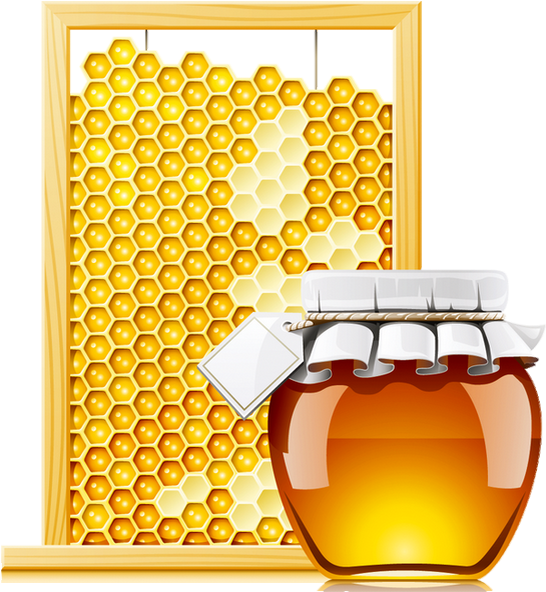 Honey Labels Free Download Clipart (545x600), Png Download