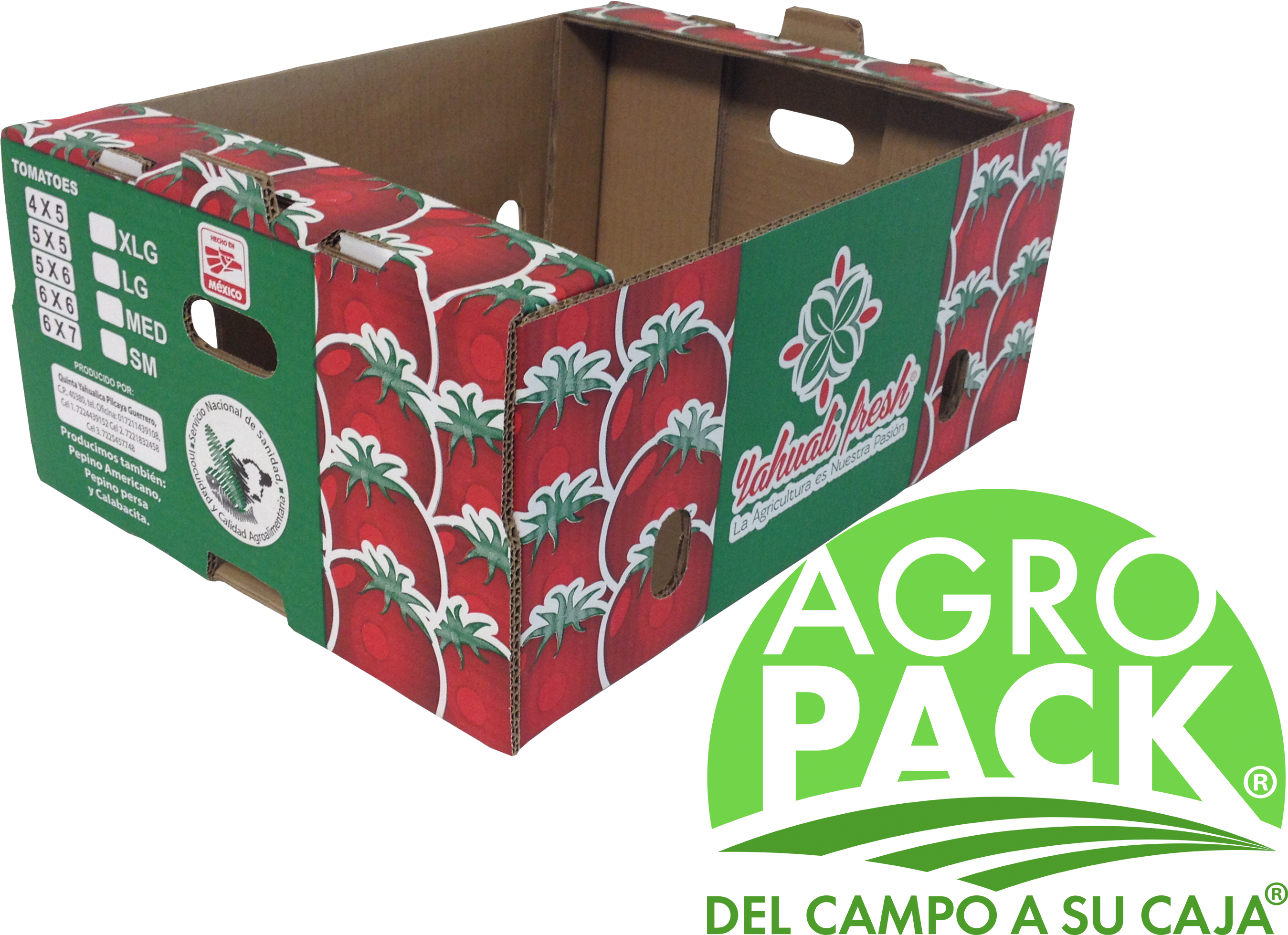 Cajas De Cart N Agr Colas Tomate - Caja De Carton Para Limon Clipart (3264x2448), Png Download