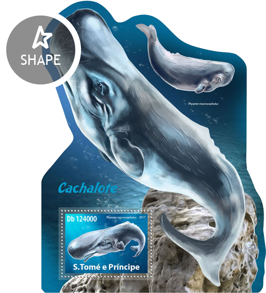 Issue Of Sao Tome And Principe Postage Stamps - Common Bottlenose Dolphin Clipart (545x601), Png Download