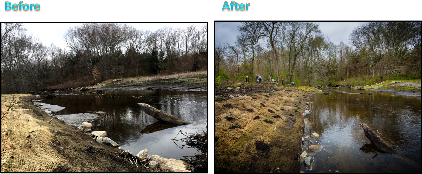 Hp2 - Freshwater Marsh Clipart (1499x637), Png Download