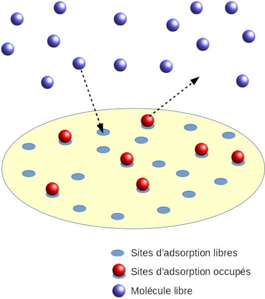 Principe Isotherme Langmuir - Circle Clipart (532x600), Png Download