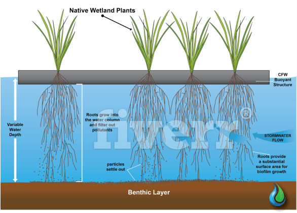 Grass Clipart (680x514), Png Download