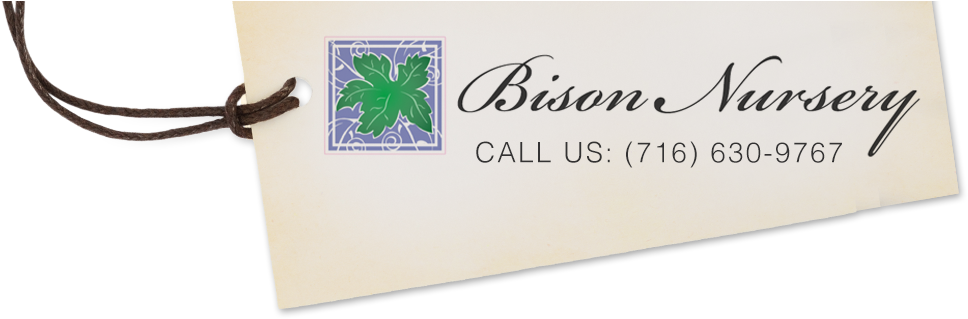 Bison Nursery Logo - Label Clipart (968x330), Png Download