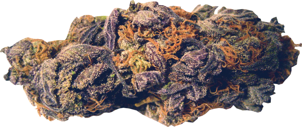 Og Kush Nugget - Black Beauty Strain Clipart (1000x421), Png Download