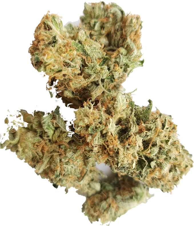 Customer Appreciation Buy My Online - Hornwort Clipart (800x932), Png Download