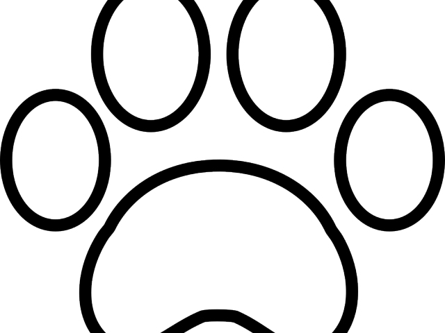White Paw Print - Circle Clipart (640x480), Png Download