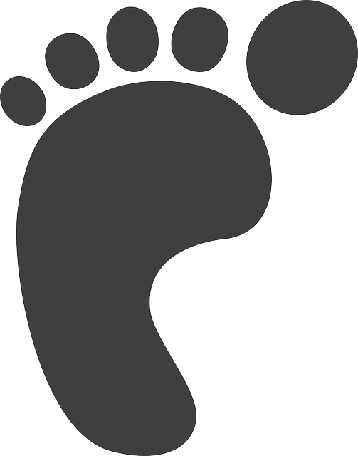 Black Footprint Clipart - Png Download (503x640), Png Download