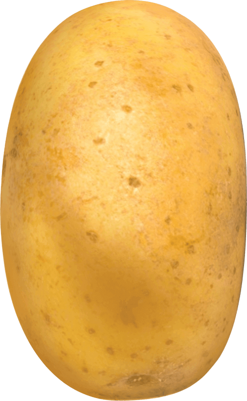 Potato Clipart (500x813), Png Download