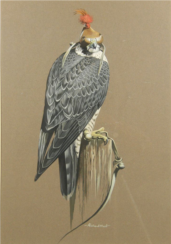 Richard Ward Peregrine Falcon Original Acrylic Art - Vaux S Swift Clipart (1032x1032), Png Download