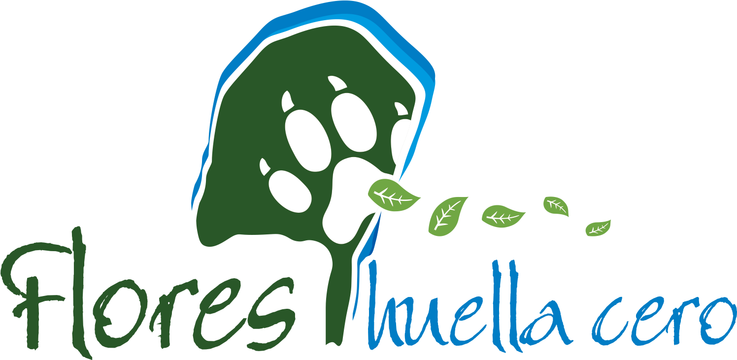 Logo Flores Huella Cero Clipart (1604x792), Png Download