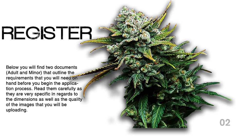 Maryland Medical Marijuana Card Solutionsmarijuana - Canadian Fir Clipart (979x686), Png Download