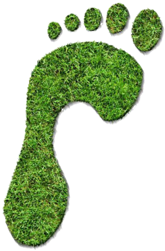 Huella De Carbono - Illustration Clipart (567x850), Png Download