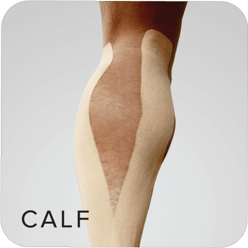 X30 Phiten Titanium Power Tape Roll Calf - Wood Clipart (700x620), Png Download