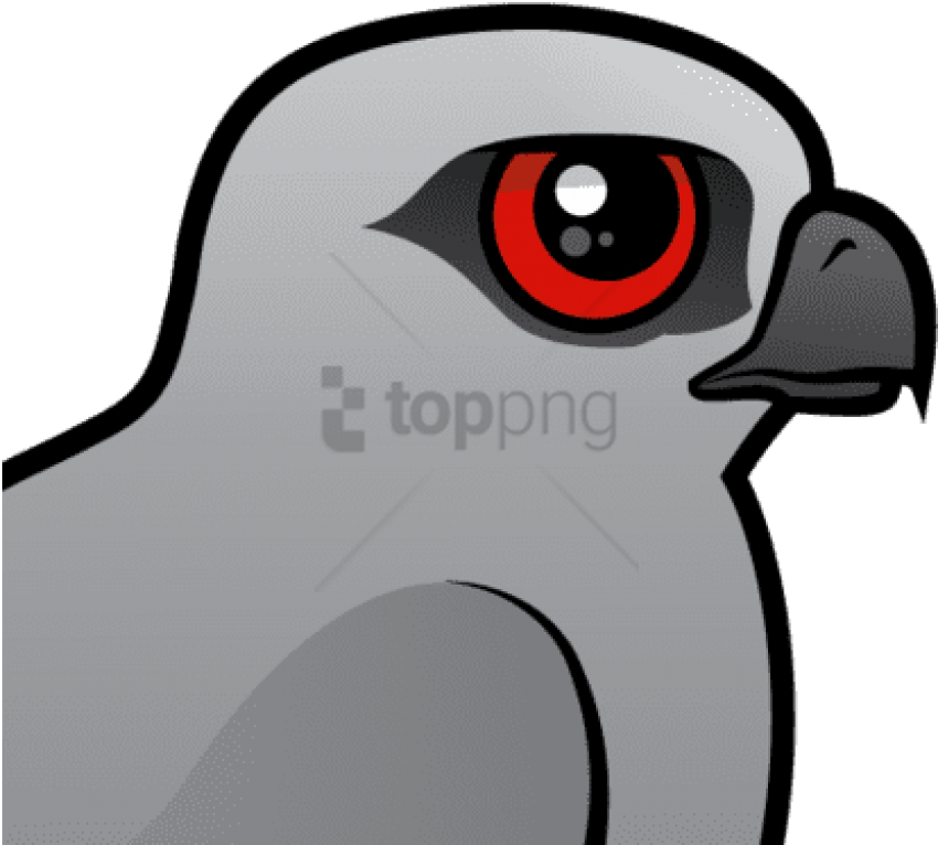 Free Png The Mississippi Kite Is A Medium Sized Bird - Cartoon Clipart (850x766), Png Download