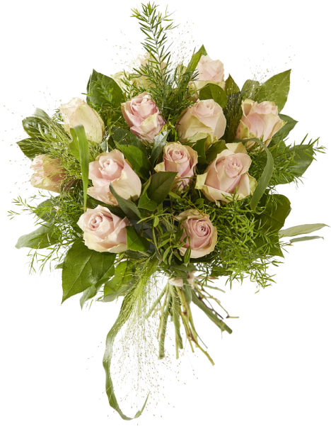 Afbeeldingen Roze Rozen Clipart (600x600), Png Download