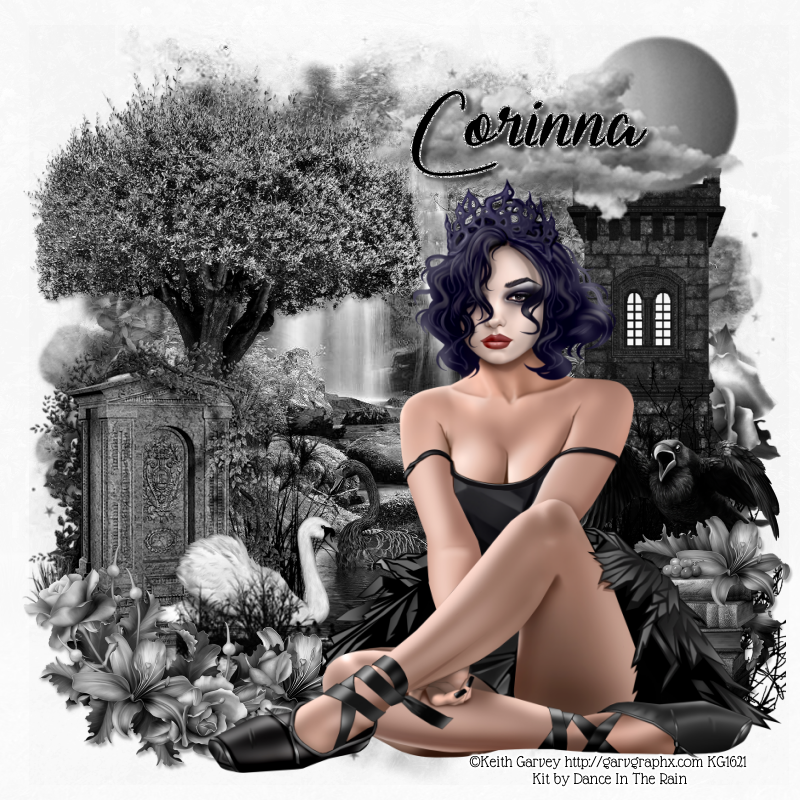 Tube To Match Can Be Purchased Clipart (800x800), Png Download