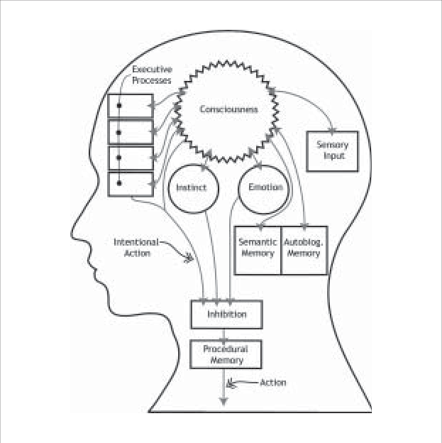 Functional Diagram Of The Brain - Brain Schematic Diagram Clipart (623x624), Png Download