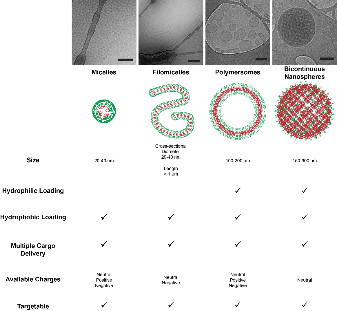 Diverse-nanocarrier - Circle Clipart (1163x1072), Png Download