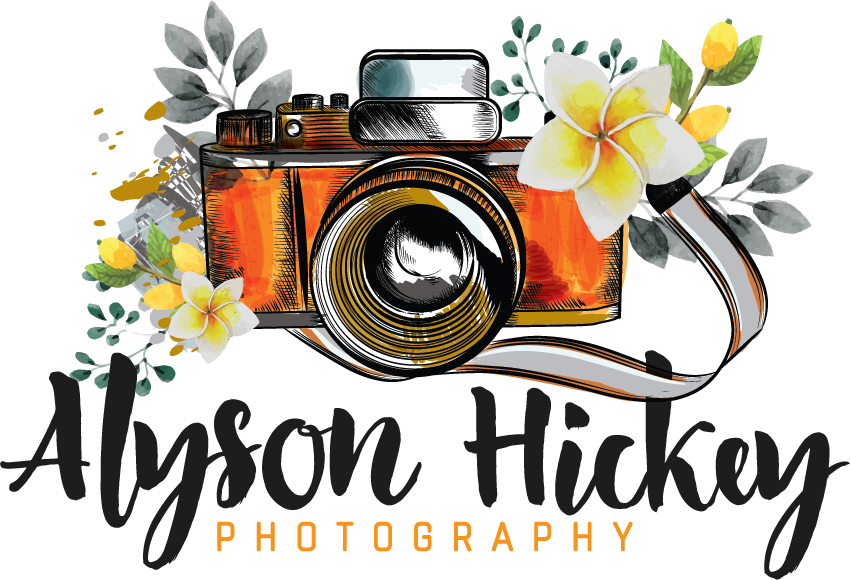 Point-and-shoot Camera Clipart (850x580), Png Download