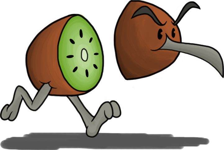 Cartoon Kiwi Bird Png Transparent Cartoon Kiwi Bird - Kiwi Bird Fruit Cartoon Clipart (721x484), Png Download