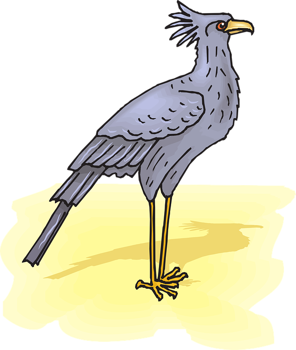 Secretary Bird Sand Shadow Wings Feathers - Secretary Bird Transparent Clipart (609x720), Png Download