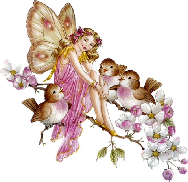 Good Morning Bird Gif , Png Download - Good Morning Birds Gif Clipart (800x774), Png Download